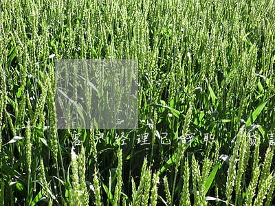 客户经理已辞职 贷款逾期 客户经理已辞职 贷款逾期